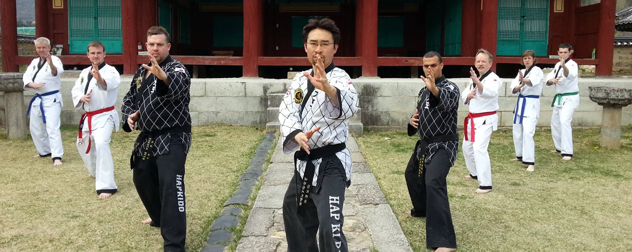 UK Hapkido Members in South Korea